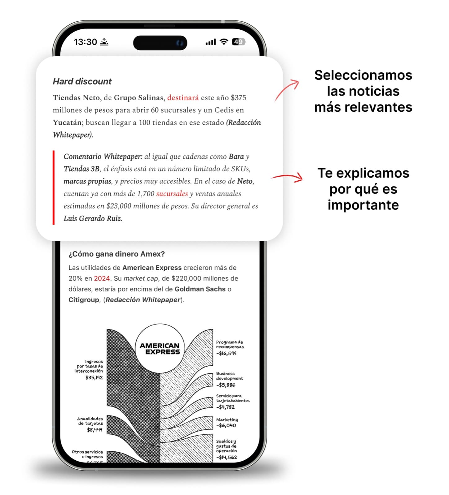 Vista previa del newsletter Whitepaper
